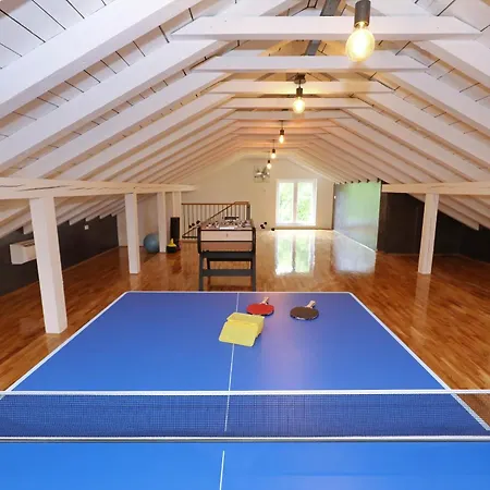 Tatil Evi Demare With Heated Pool, Free Evc Station Lovinac (Zadar)
